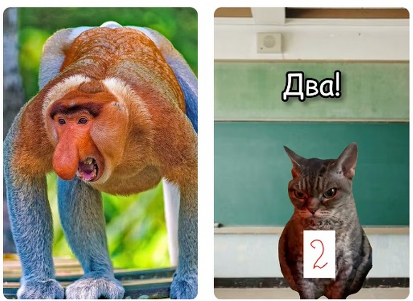 Среди популярных вариантов — Amnezia Warp Generator, который интегрируется с AmneziaVPN для мобильных и десктопных устройств 2026.