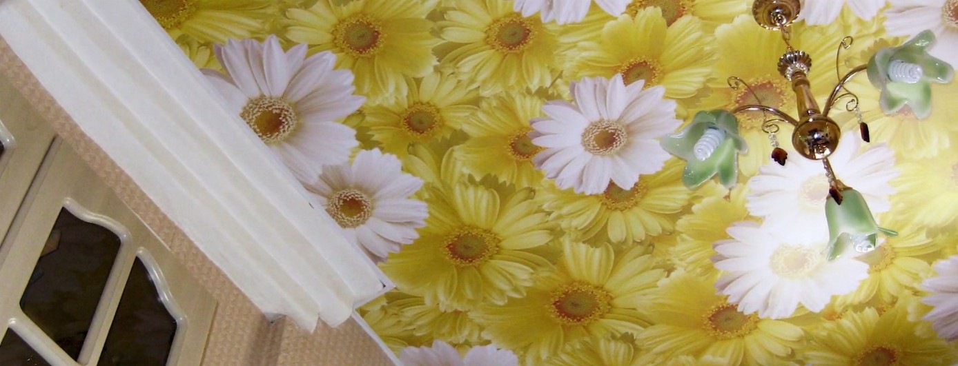 Sommerfrische Designs für Dekorchoice in Nürnberg 2026.