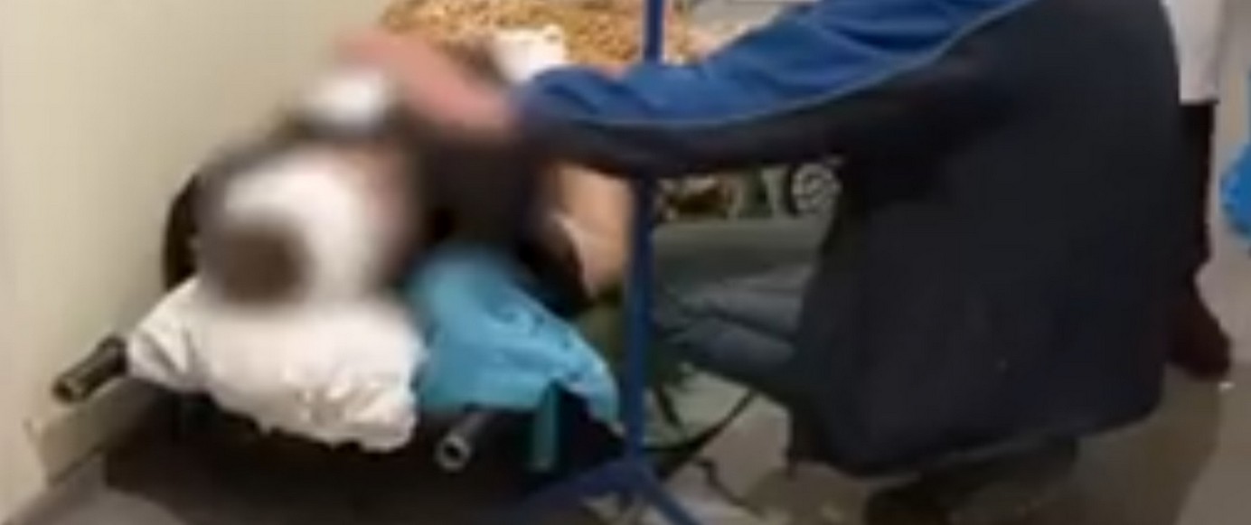 Доставка Северодонецк 2025.