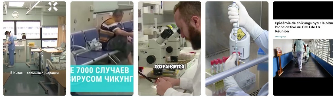 Лихорадка чикунгунья в России 2025.