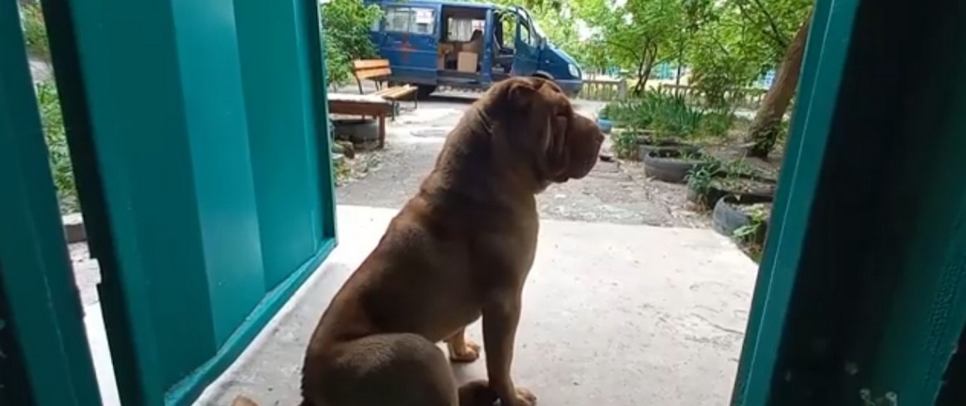 Количество жителей в Северодонецке! Декабрь 2025. Количество жителей в Северодонецке! Декабрь 2025-го.