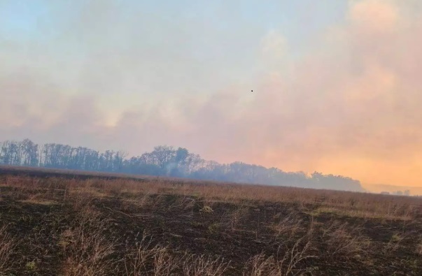 В Северодонецке режим чрезвычайной ситуации. В Северодонецке режим чрезвычайной ситуации в связи с пожаром.