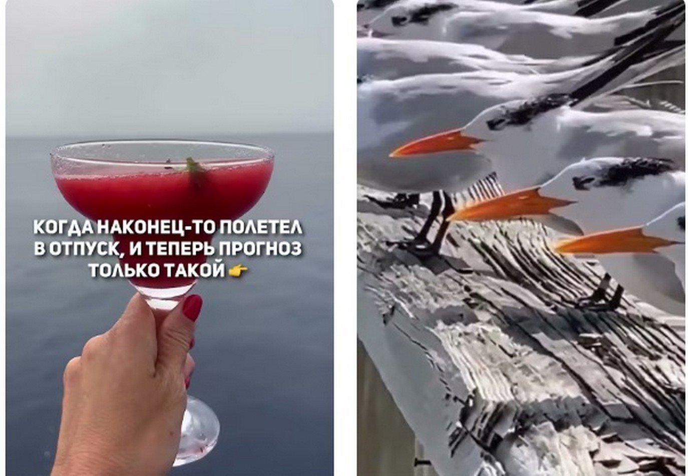 Вторая половина февраля: качели 2026.