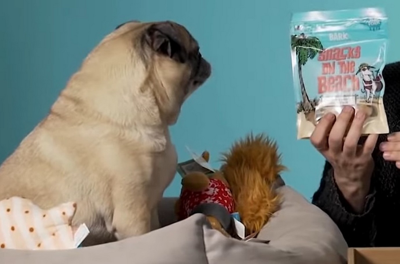 Условия получения грантов ЛНР в 2026.