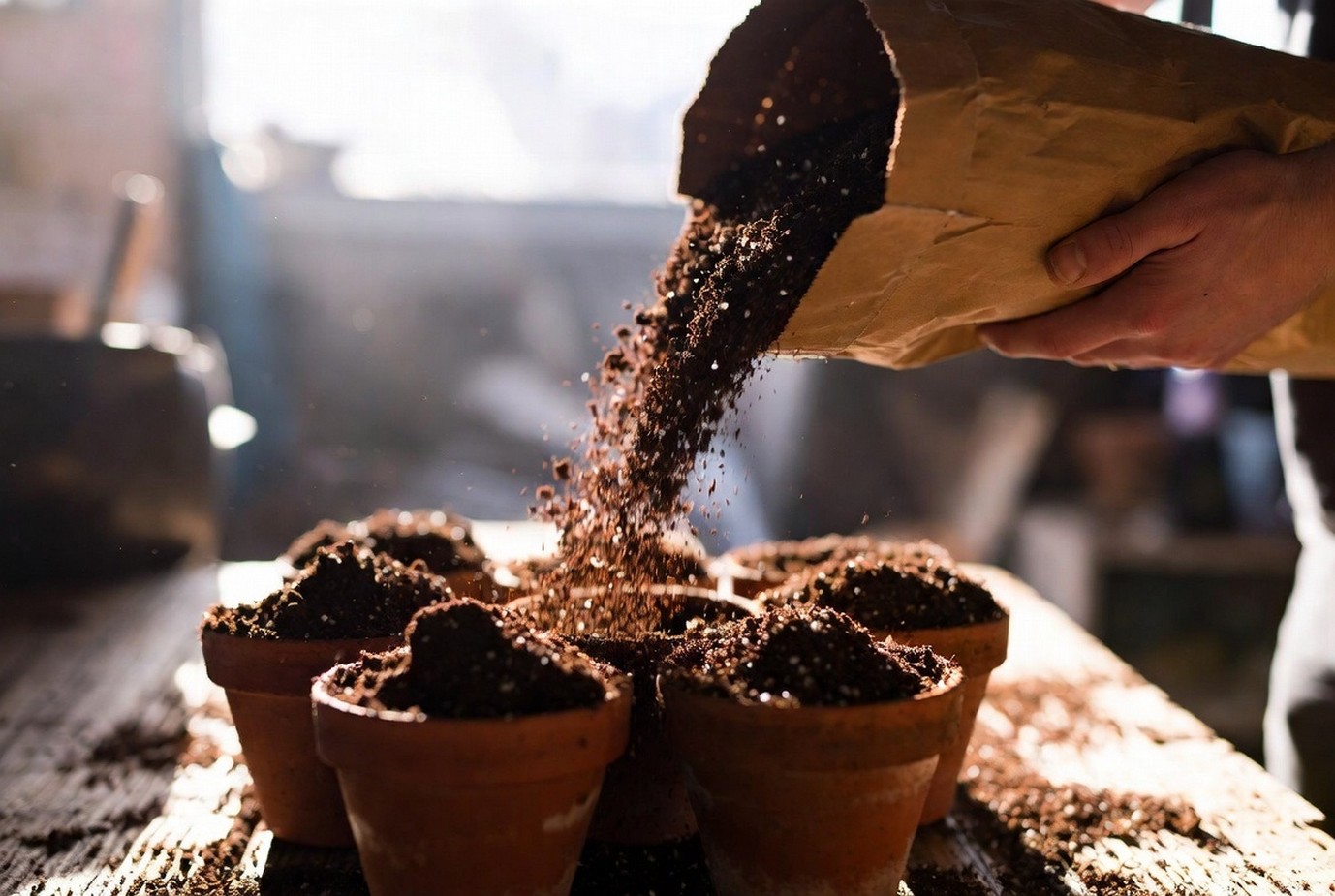 Сроки посева рассады: Открытый грунт 2026.