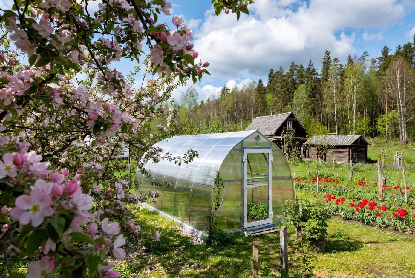 Указ по теплицам на дачах с 1 мая: регистрировать, платить налог в 2026?