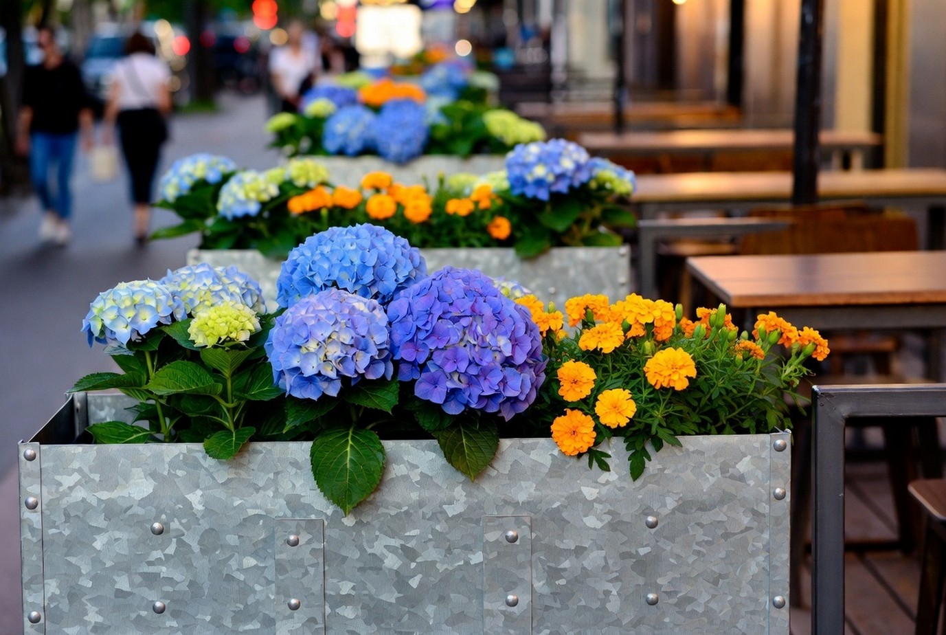 Почему все в Москве выбирают именно MadMetal для города в 2026?