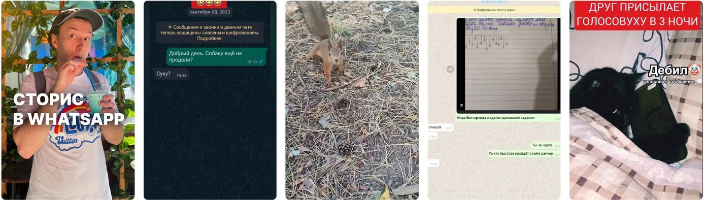 Роскомнадзор заявил, что продолжает ограничивать сервис WhatsApp. Роскомнадзор заявил, что продолжает ограничивать сервис WhatsApp 2026.