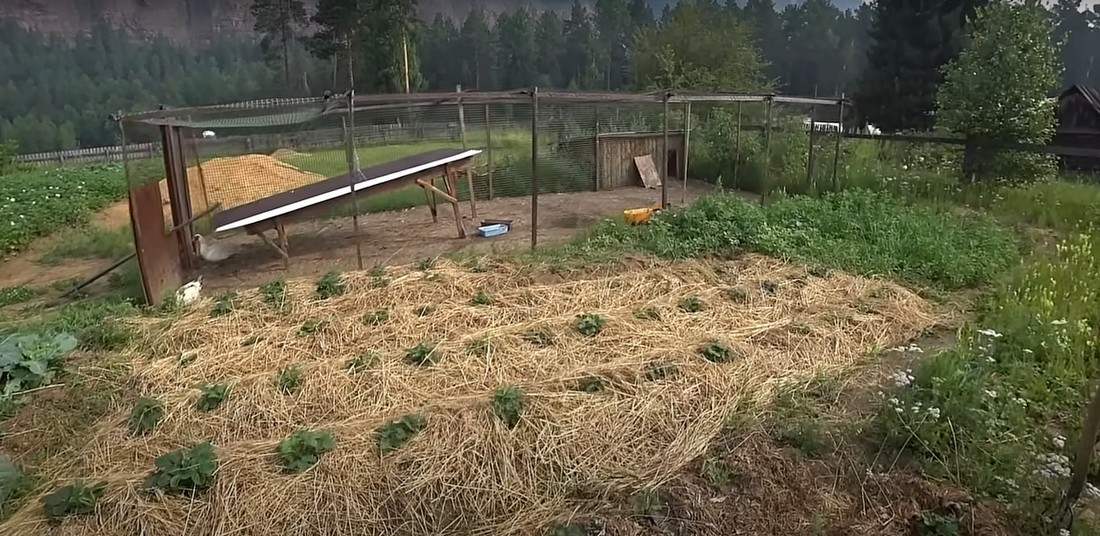 Запрет на коммерческую деятельность на дачах в России с сентября. Запрет на коммерческую деятельность на дачах в России с сентября 2025 года